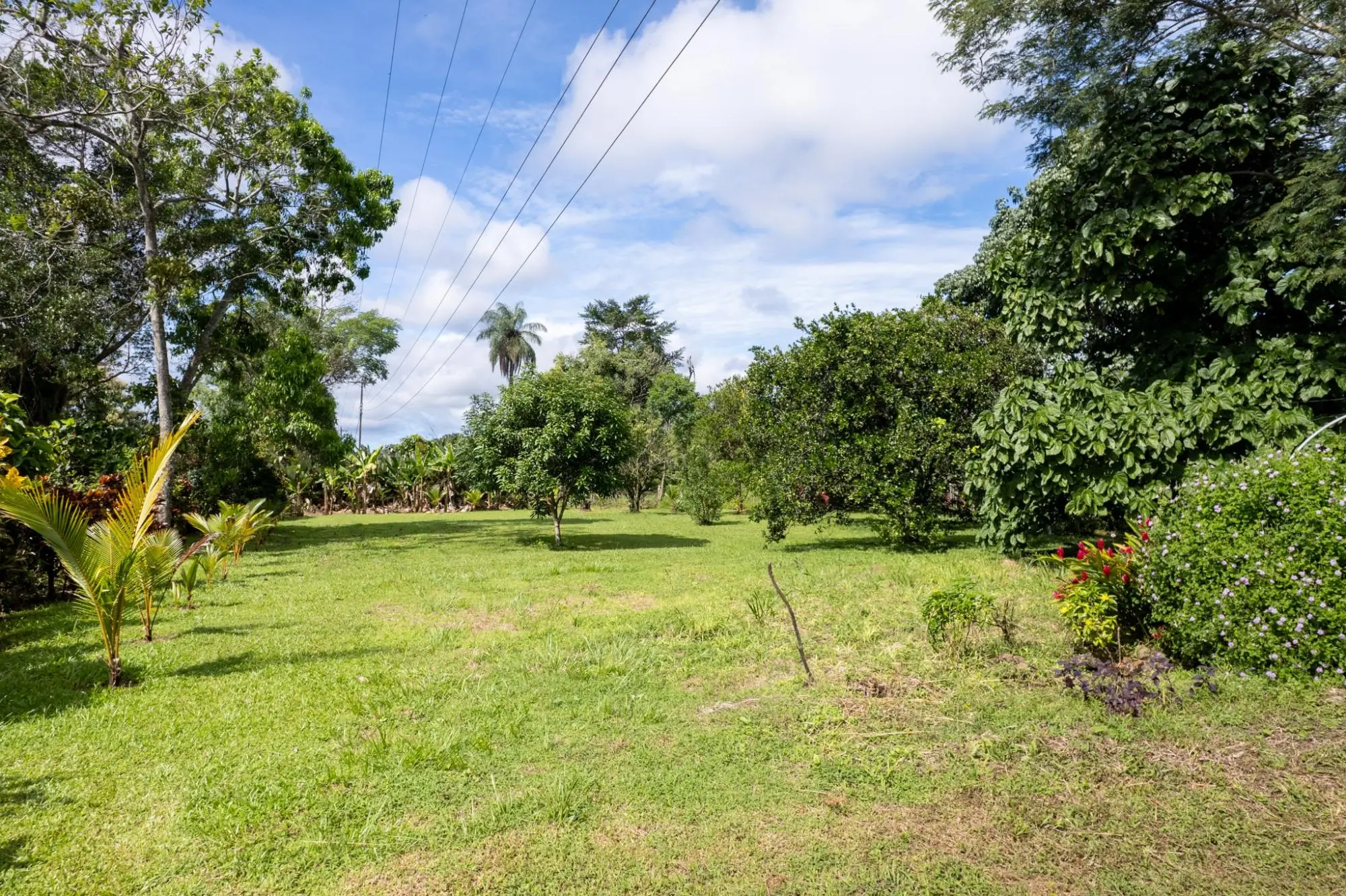 7-75 7-75 San Andrés, Provincia De Chiriquí - Photo 99