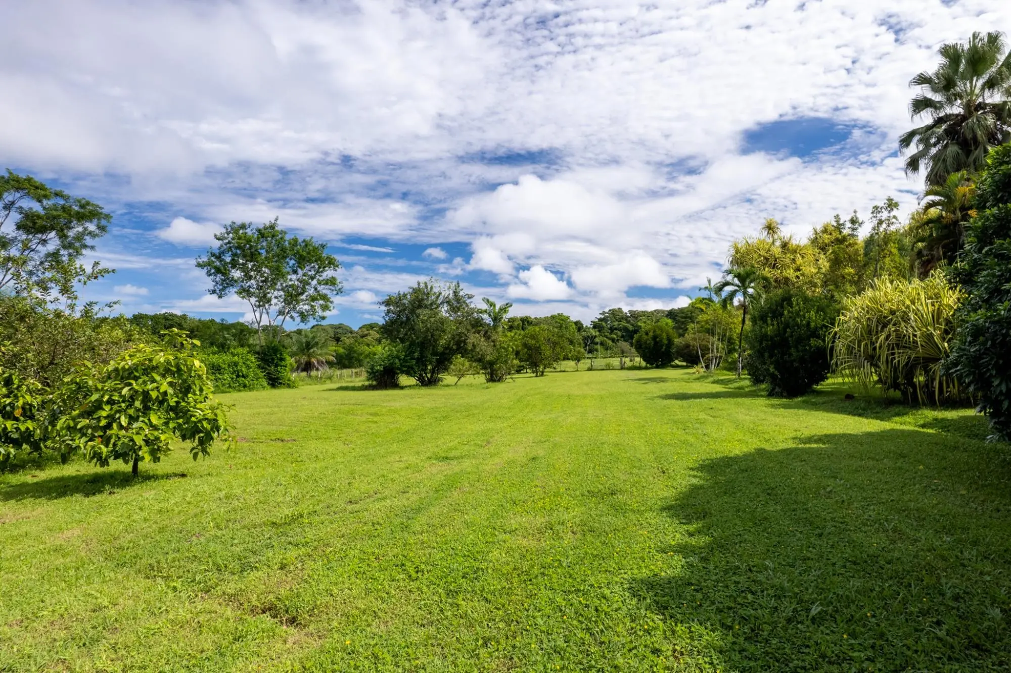 7-75 7-75 San Andrés, Provincia De Chiriquí - Photo 100