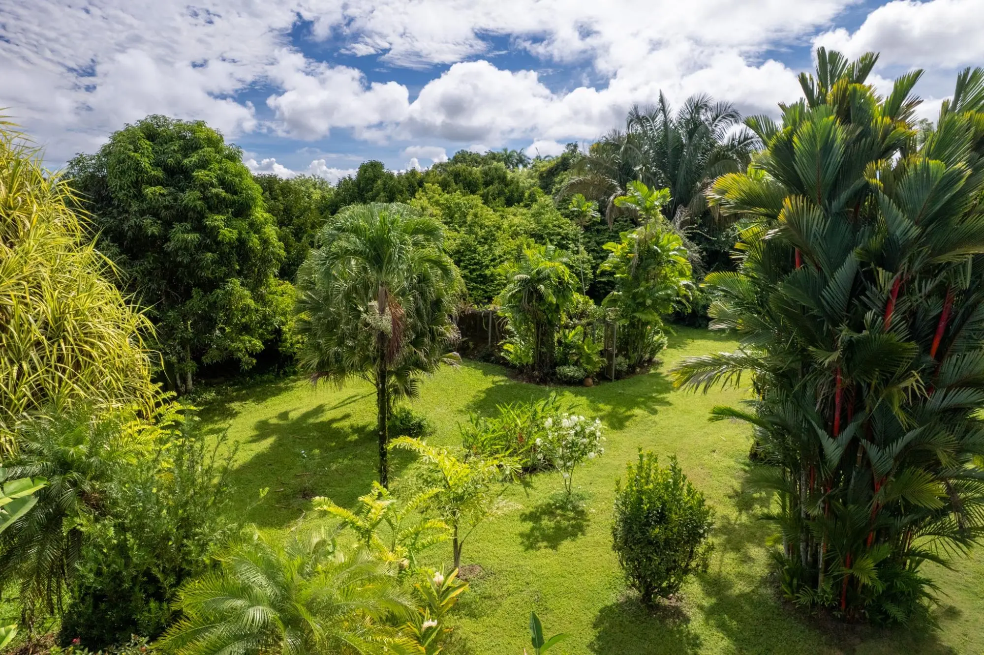 7-75 7-75 San Andrés, Provincia De Chiriquí - Photo 103