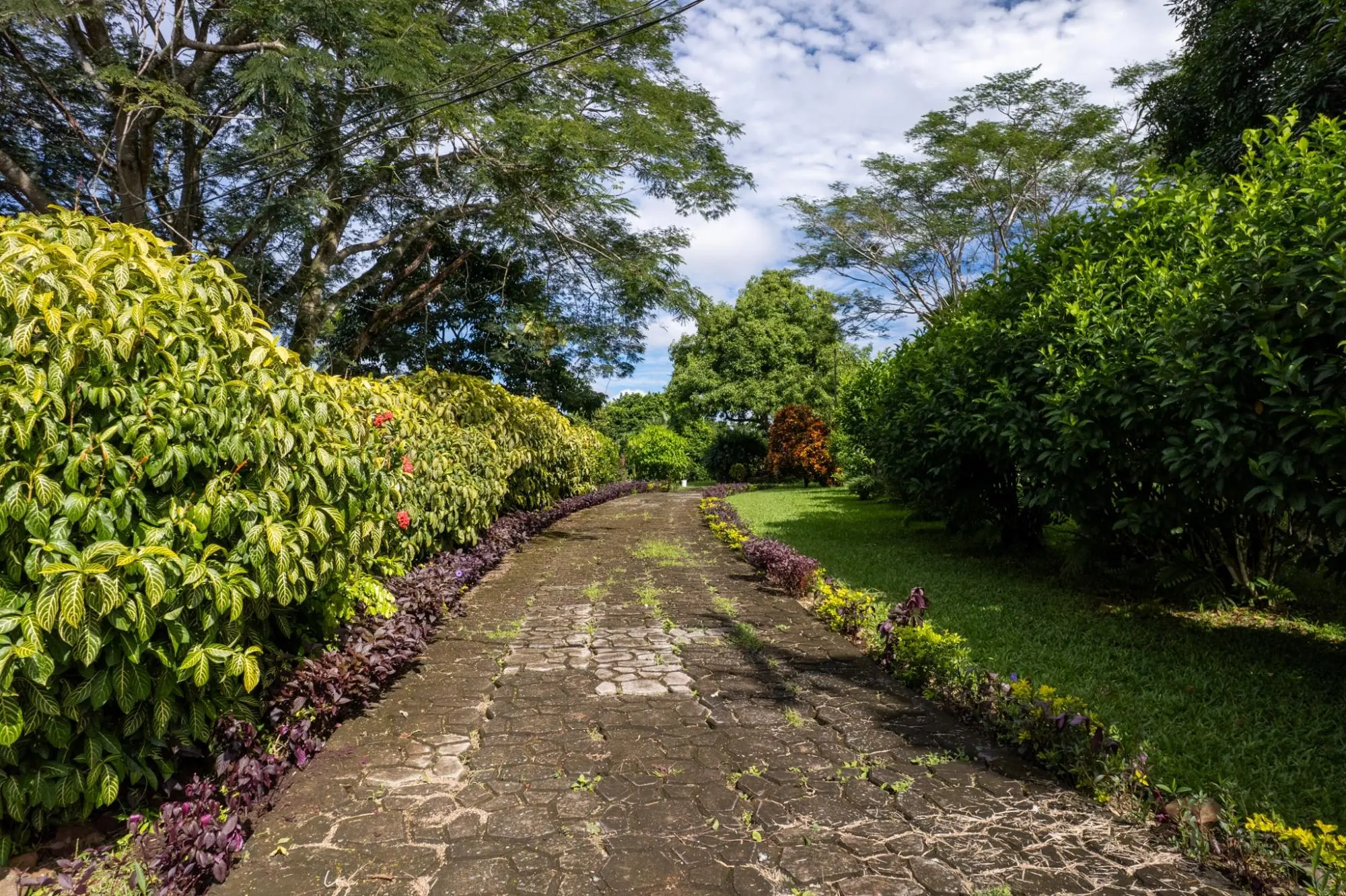 7-75 7-75 San Andrés, Provincia De Chiriquí - Photo 79