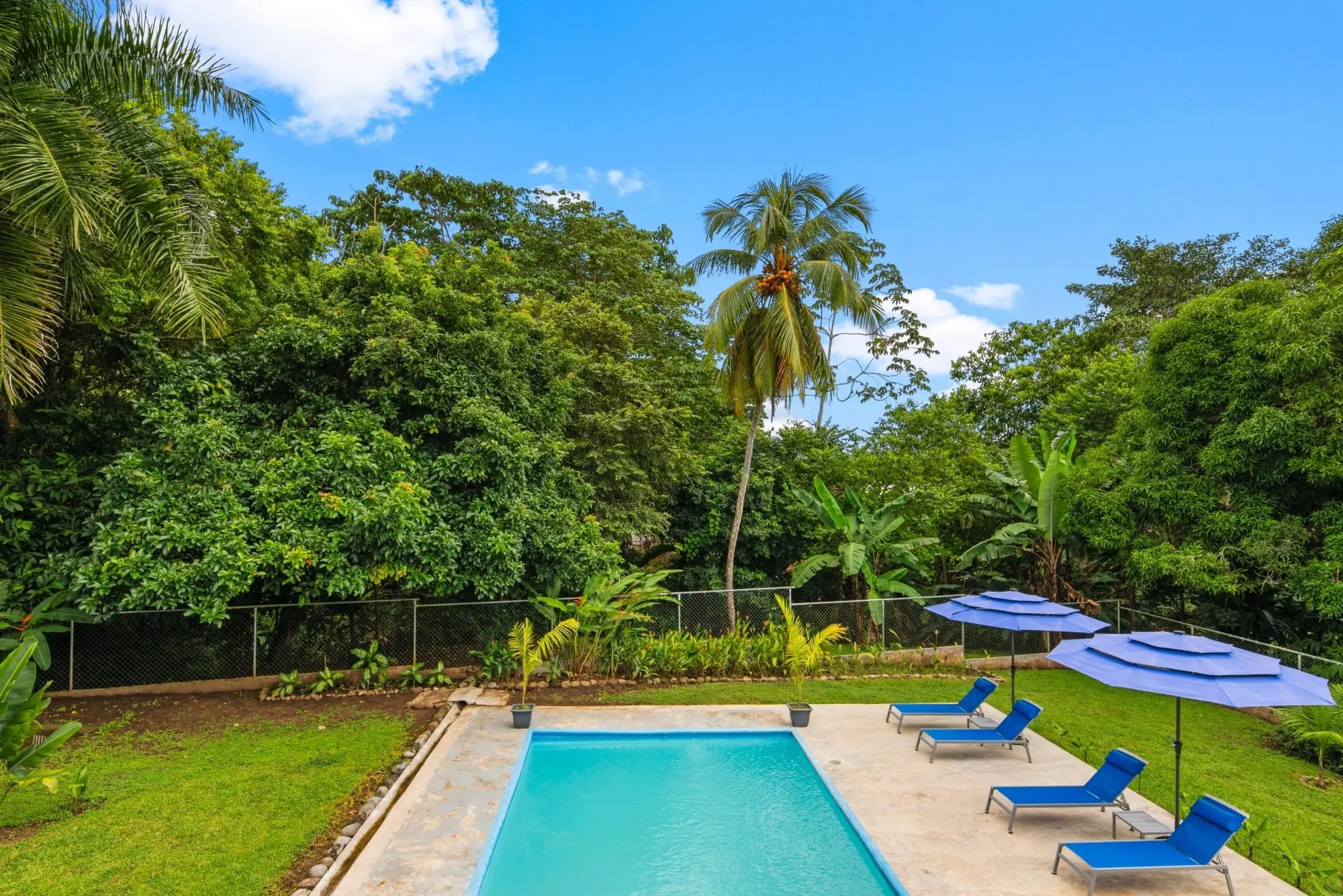 0 Chiriquí, Barú, Puerto Armuelles, Las Palmas - Photo 24