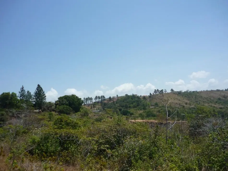 N/a Carretera A La Laguna #finca - Photo 9