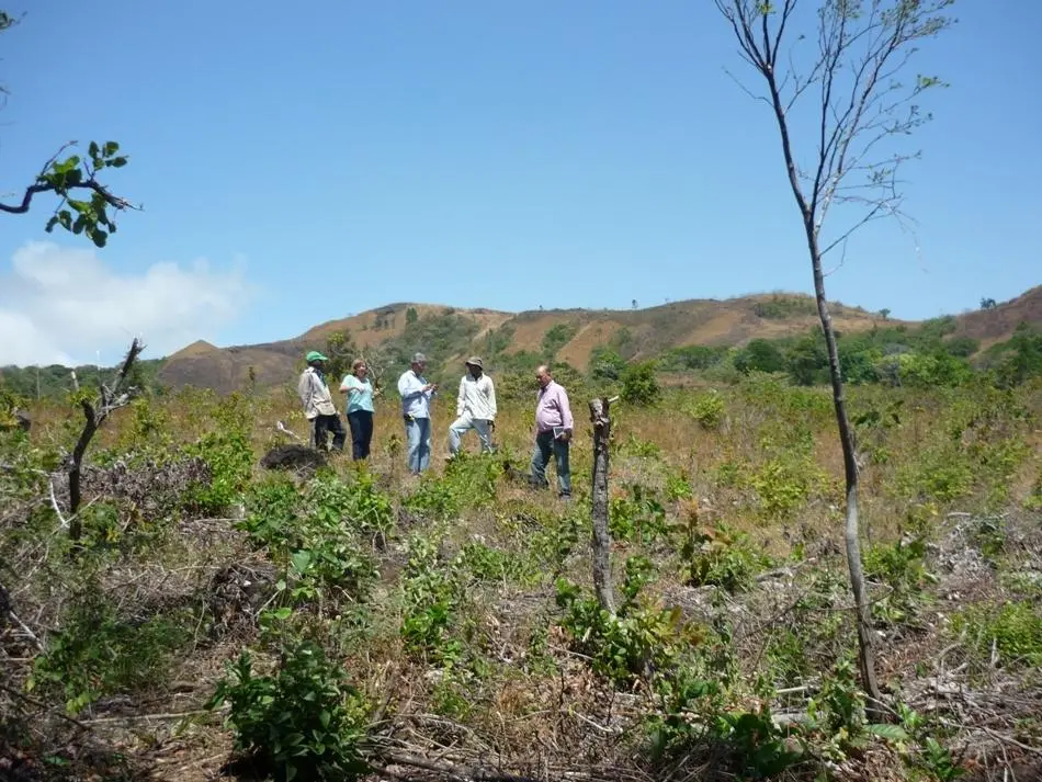 N/a Carretera A La Laguna #finca - Photo 10