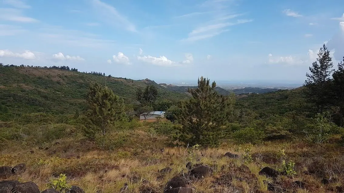 N/a Carretera A La Laguna #finca - Photo 19