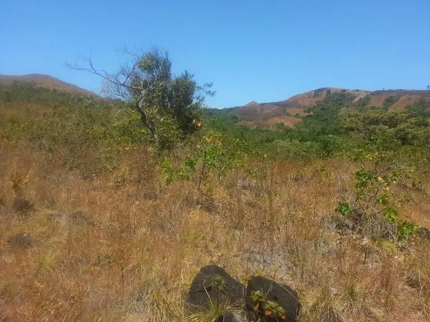 N/a Carretera A La Laguna #finca - Photo 22