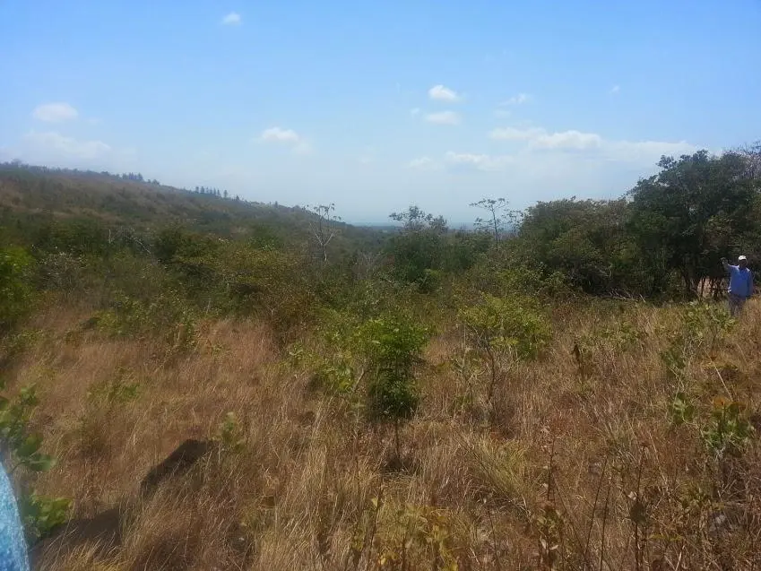 N/a Carretera A La Laguna #finca - Photo 26