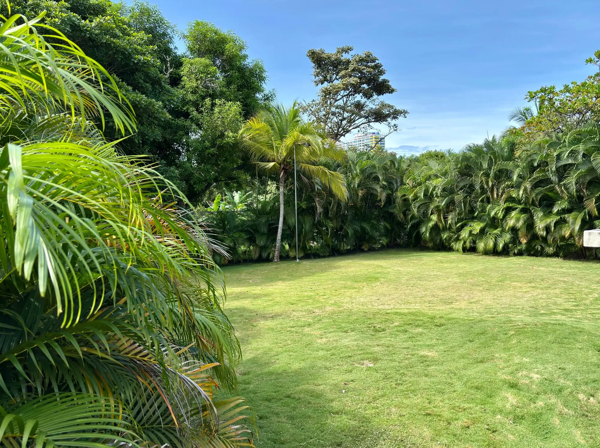 Coronado Coronado, Ave. Punta Prieta #1 - Photo 72