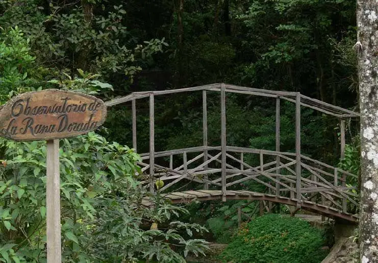 Lote 27 Altos Del Maria, La Toscana, Calle Carrara, Lote 27 #lote 27 - Photo 62