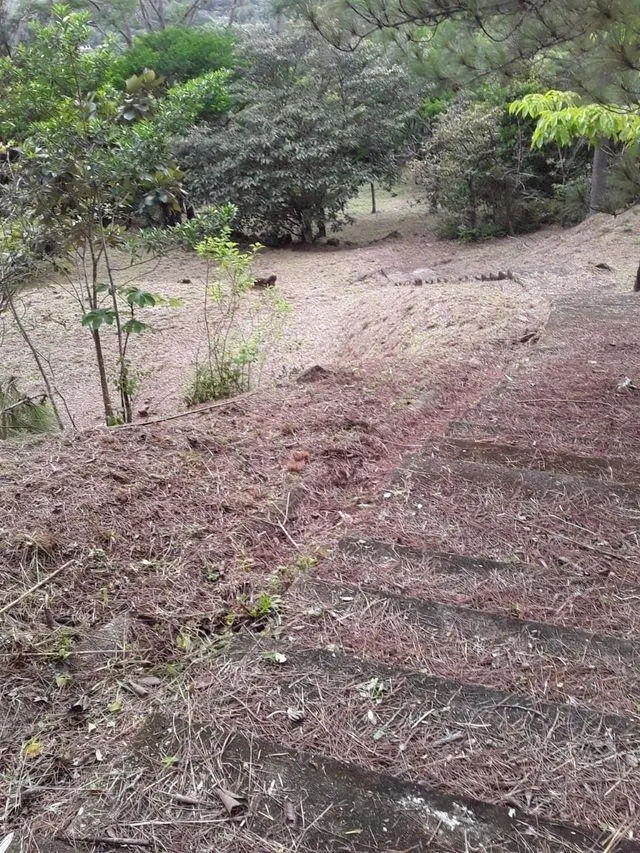 Lote 27 Altos Del Maria, La Toscana, Calle Carrara, Lote 27 #lote 27 - Photo 36