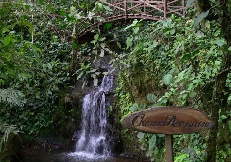 Lote 27 Altos Del Maria, La Toscana, Calle Carrara, Lote 27 #lote 27 - Photo 55