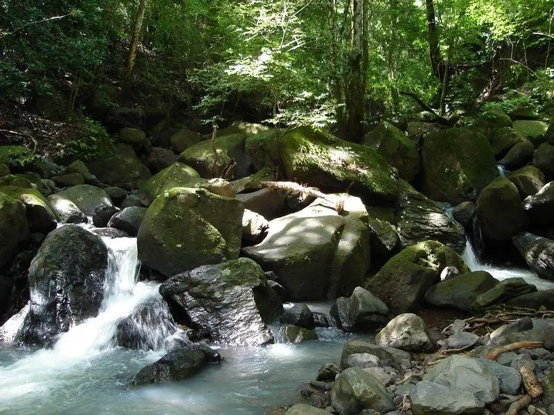 Lote 27 Altos Del Maria, La Toscana, Calle Carrara, Lote 27 #lote 27 - Photo 60