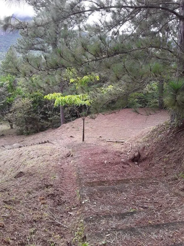 Lote 27 Altos Del Maria, La Toscana, Calle Carrara, Lote 27 #lote 27 - Photo 37