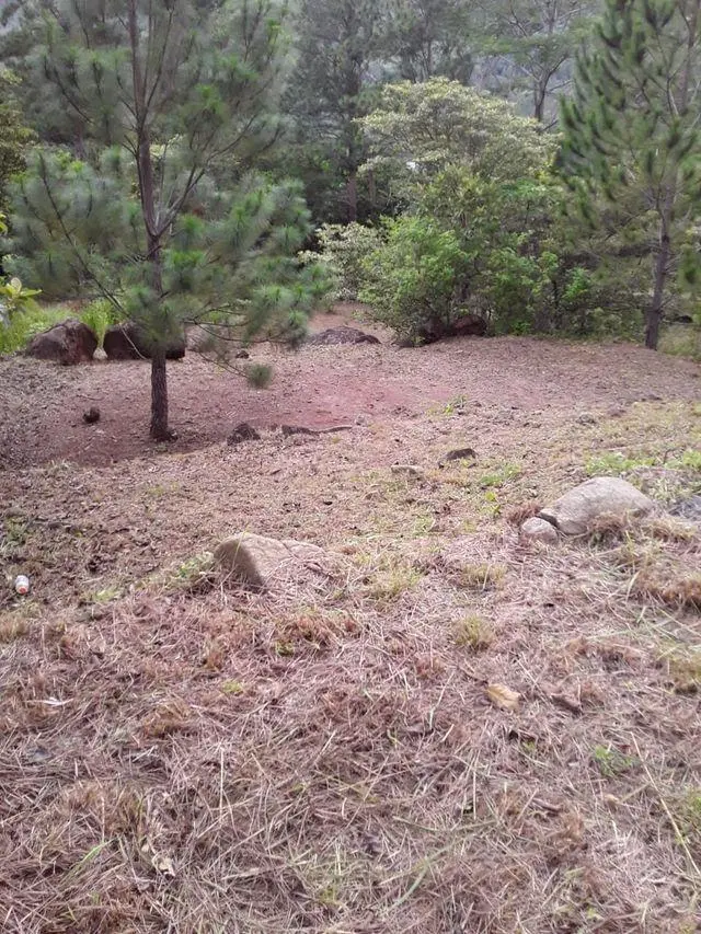 Lote 27 Altos Del Maria, La Toscana, Calle Carrara, Lote 27 #lote 27 - Photo 33