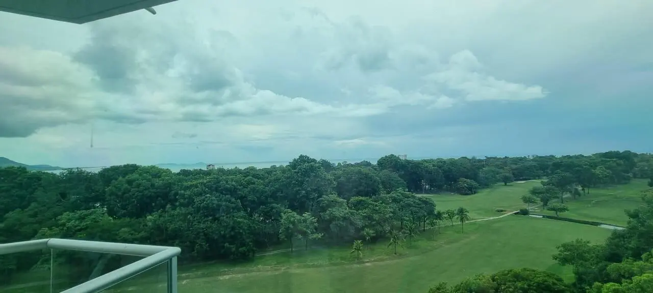 Ph Coronado Golf, Apto 8c, Coronado #8c - Photo 10