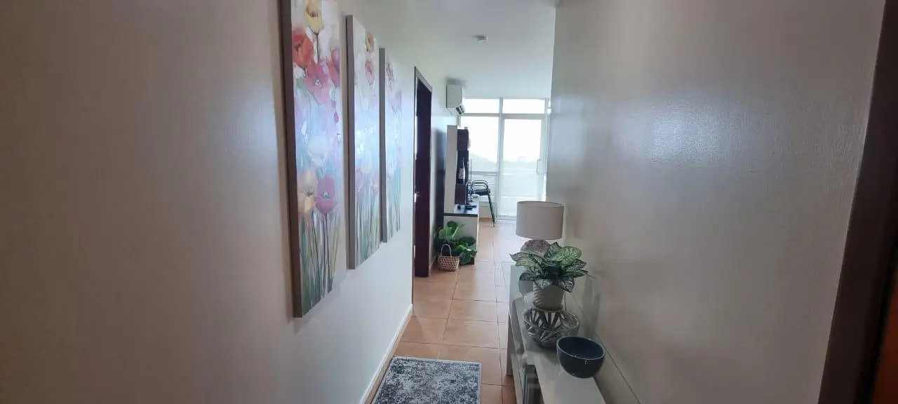 Ph Coronado Golf, Apto 8c, Coronado #8c - Photo 4