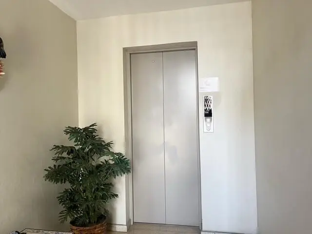 Ph Girasol #9 B - Photo 6