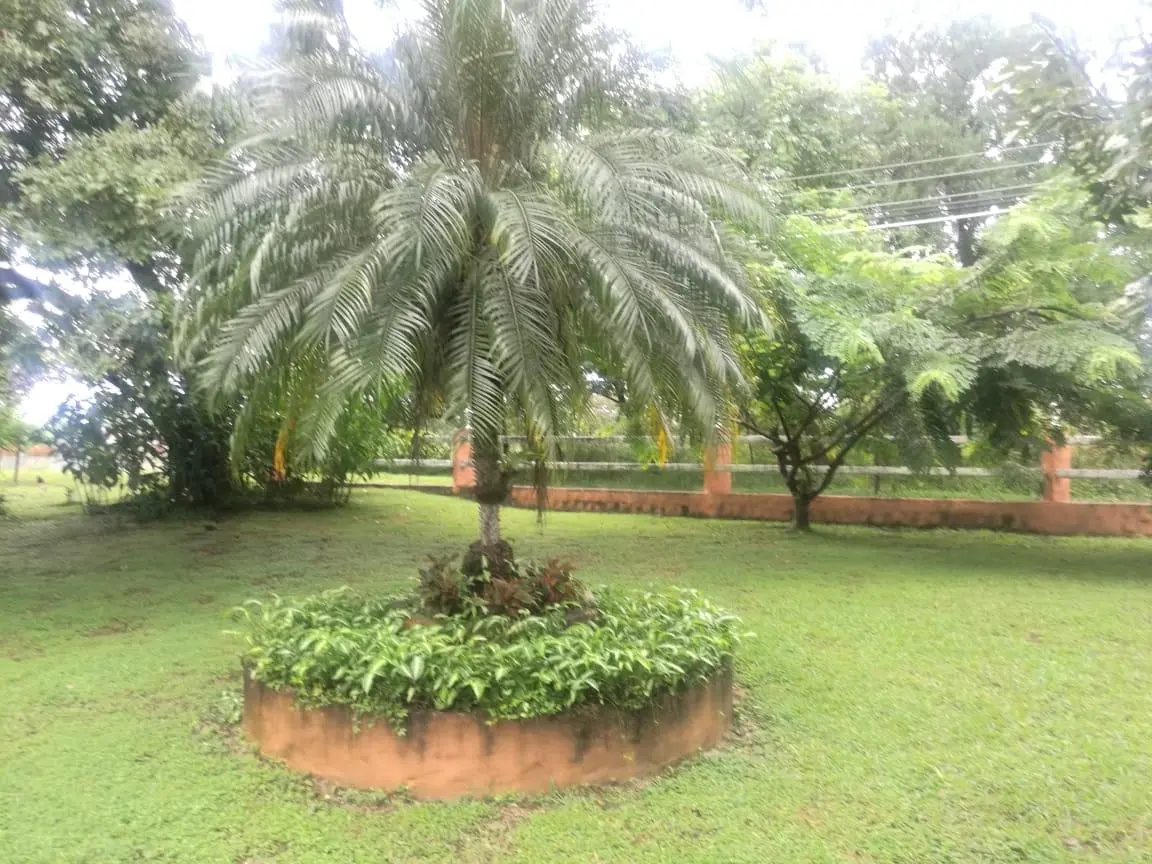 Las Lajas De Chame, Coronado, Calle Principal - Photo 46