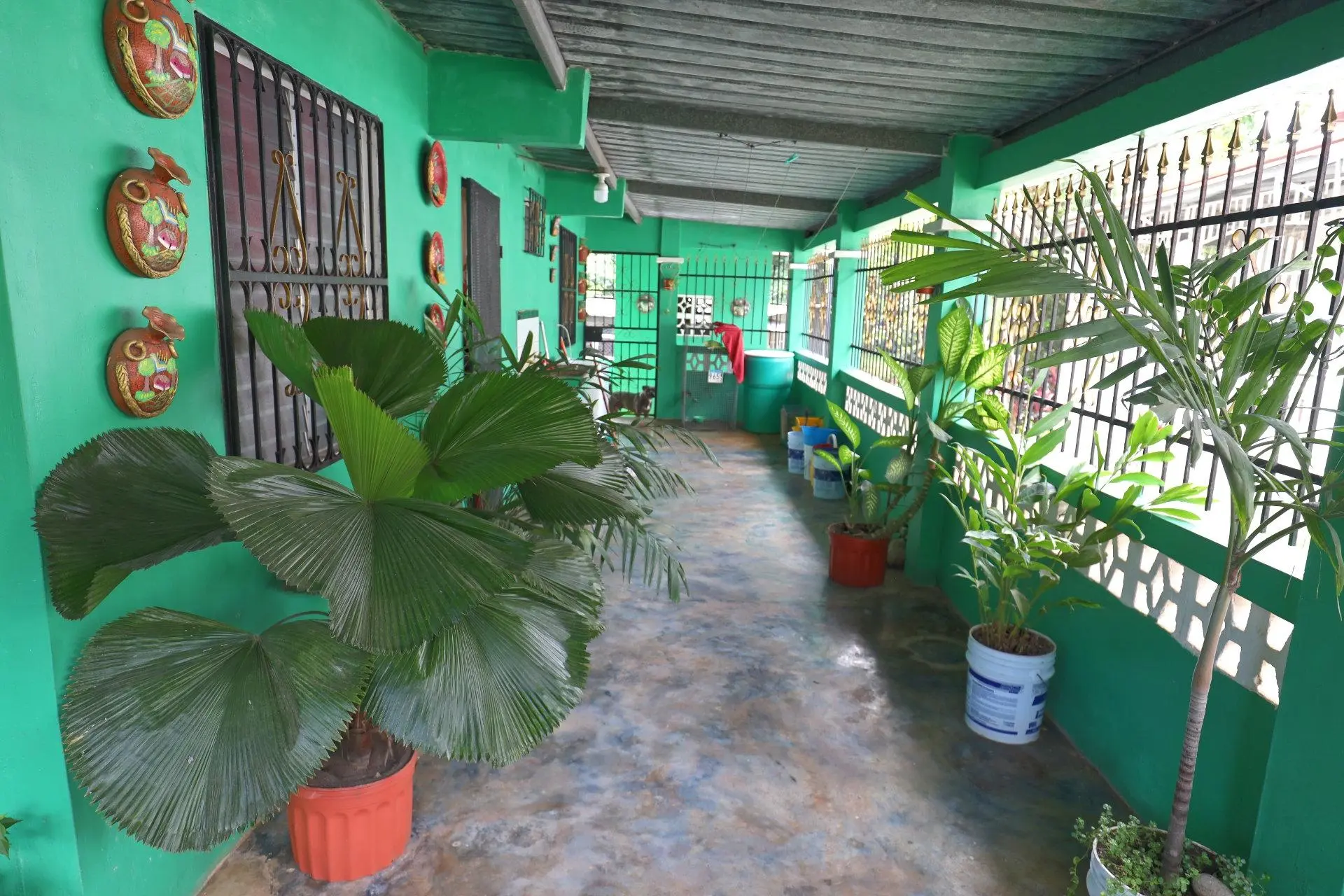 Sector 27 Ciudad Jardín, Las Mañanitas #12 - Photo 20