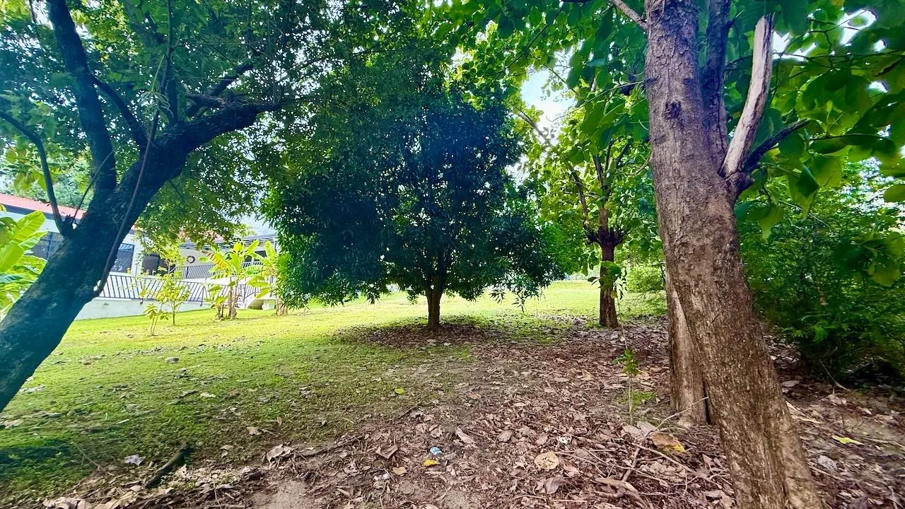 Manzana 130407 13 2, Provincia De Panamá Oeste - Photo 38