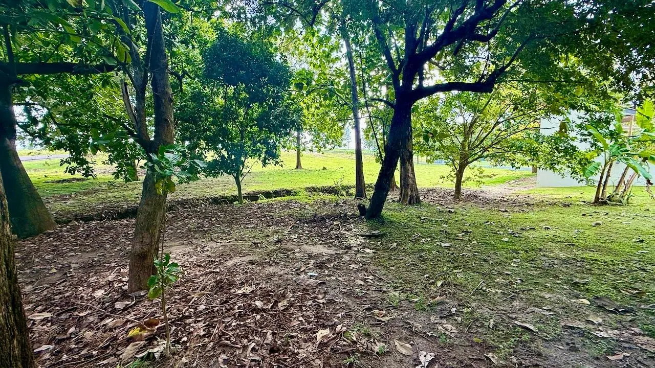 Manzana 130407 13 2, Provincia De Panamá Oeste - Photo 36