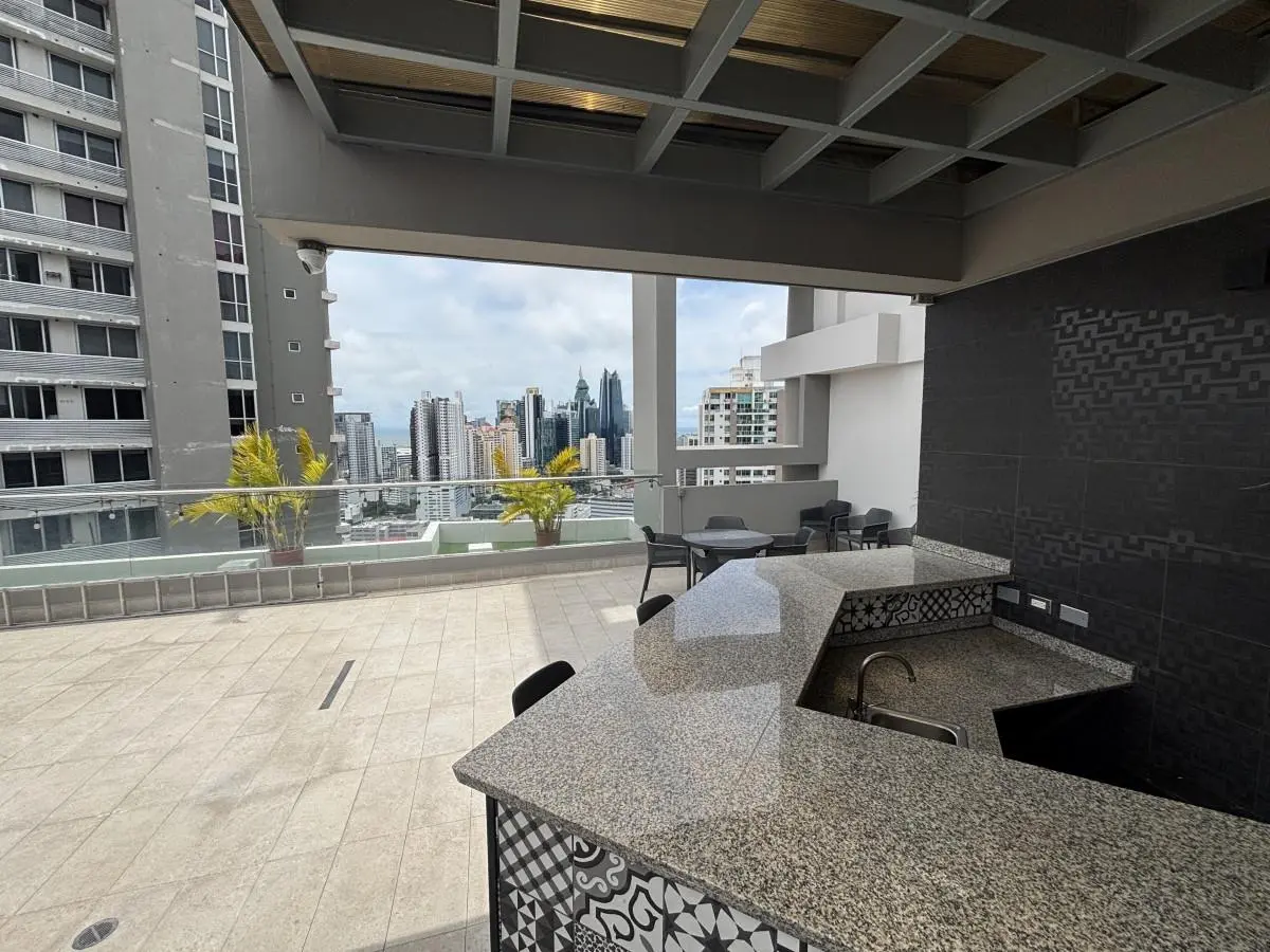 Calle Eric Del Valle Con Calle Alberto Navarro #27 A - Photo 110