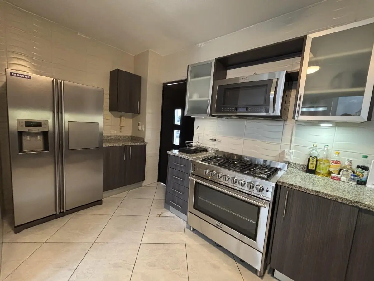 Calle Eric Del Valle Con Calle Alberto Navarro #27 A - Photo 46