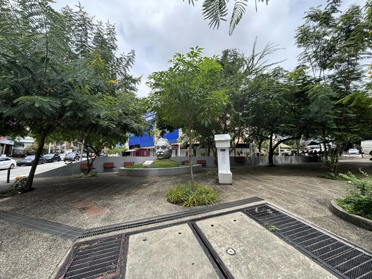 Calle Eric Del Valle Con Calle Alberto Navarro #27 A - Photo 121