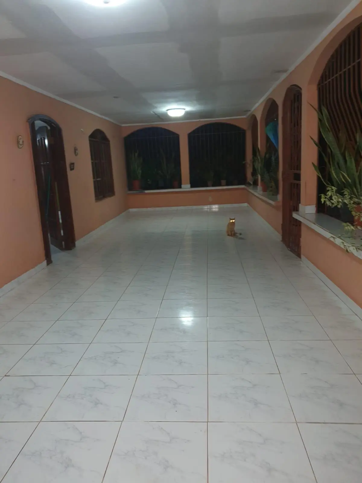 Calle Las Amalinas, Panamá Oeste, Corregimiento De Guadalupe #197610 - Photo 28