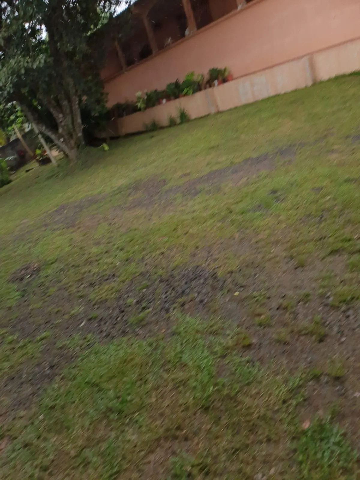 Calle Las Amalinas, Panamá Oeste, Corregimiento De Guadalupe #197610 - Photo 8