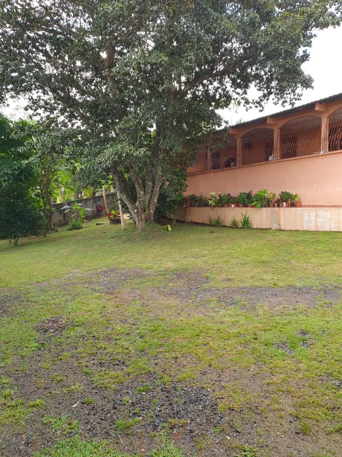 Calle Las Amalinas, Panamá Oeste, Corregimiento De Guadalupe #197610 - Photo 4