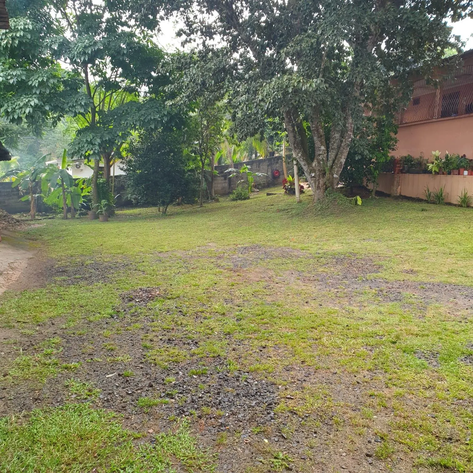 Calle Las Amalinas, Panamá Oeste, Corregimiento De Guadalupe #197610 - Photo 15