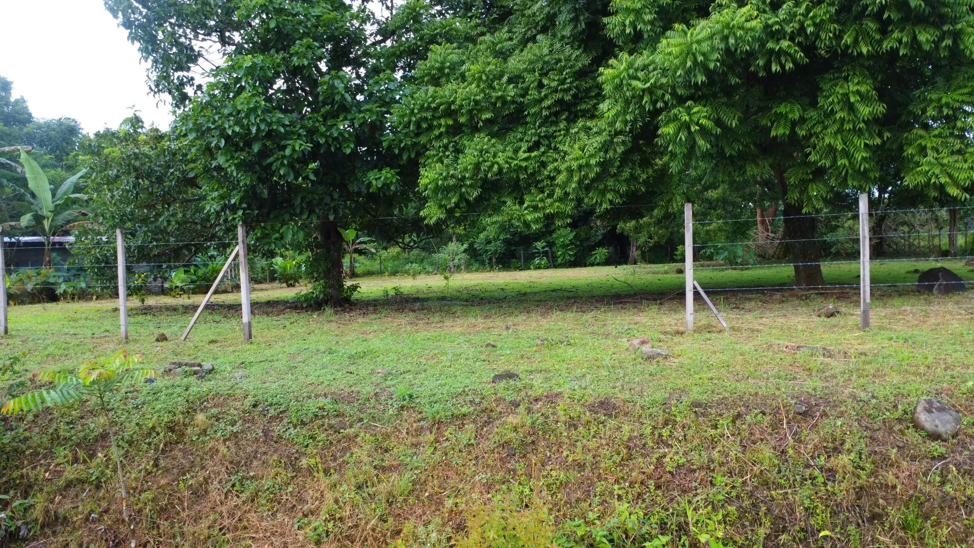 0 Chiriquí, Boquete, El Frances. - Photo 48