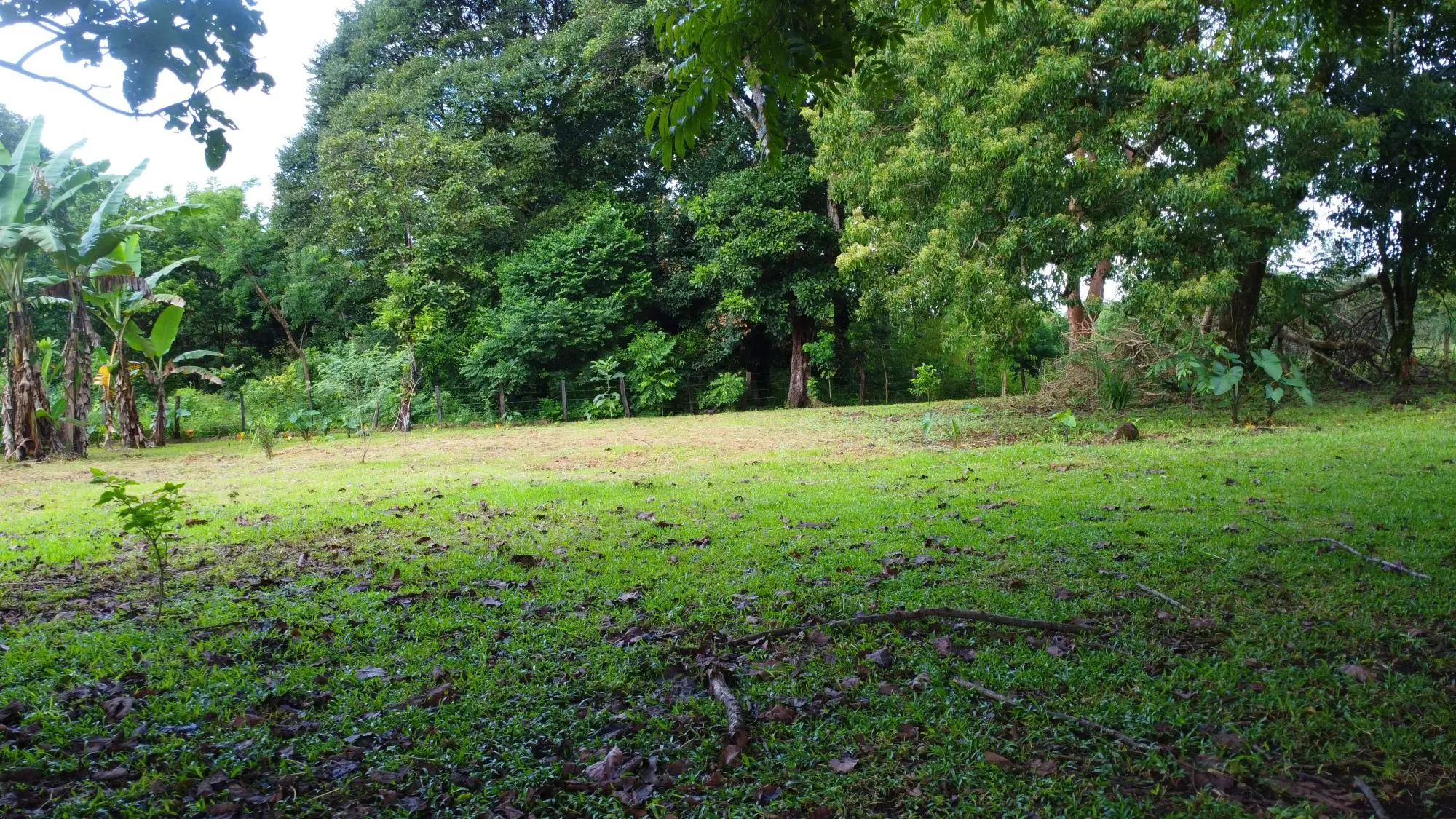 0 Chiriquí, Boquete, El Frances. - Photo 7