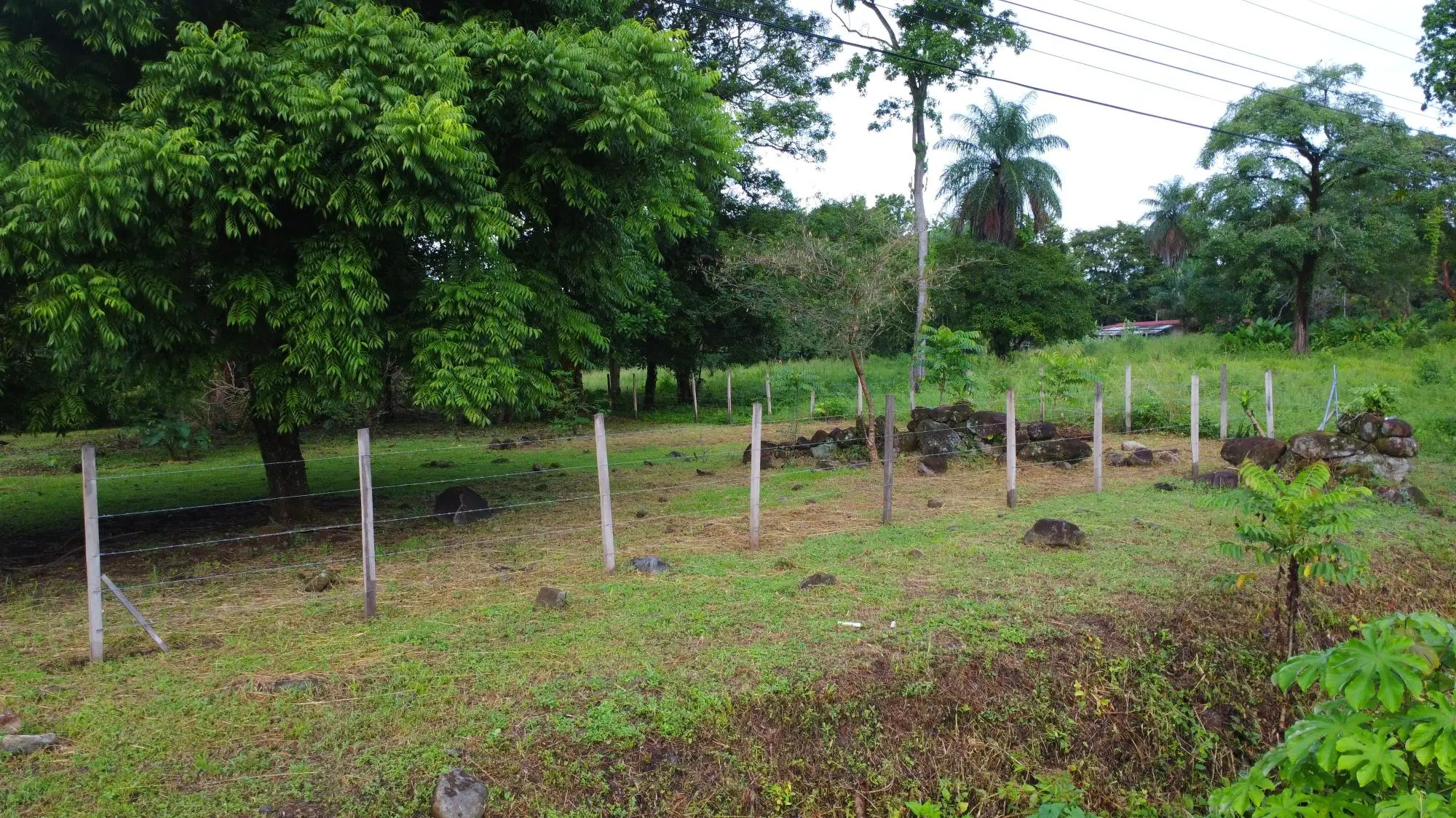 0 Chiriquí, Boquete, El Frances. - Photo 5