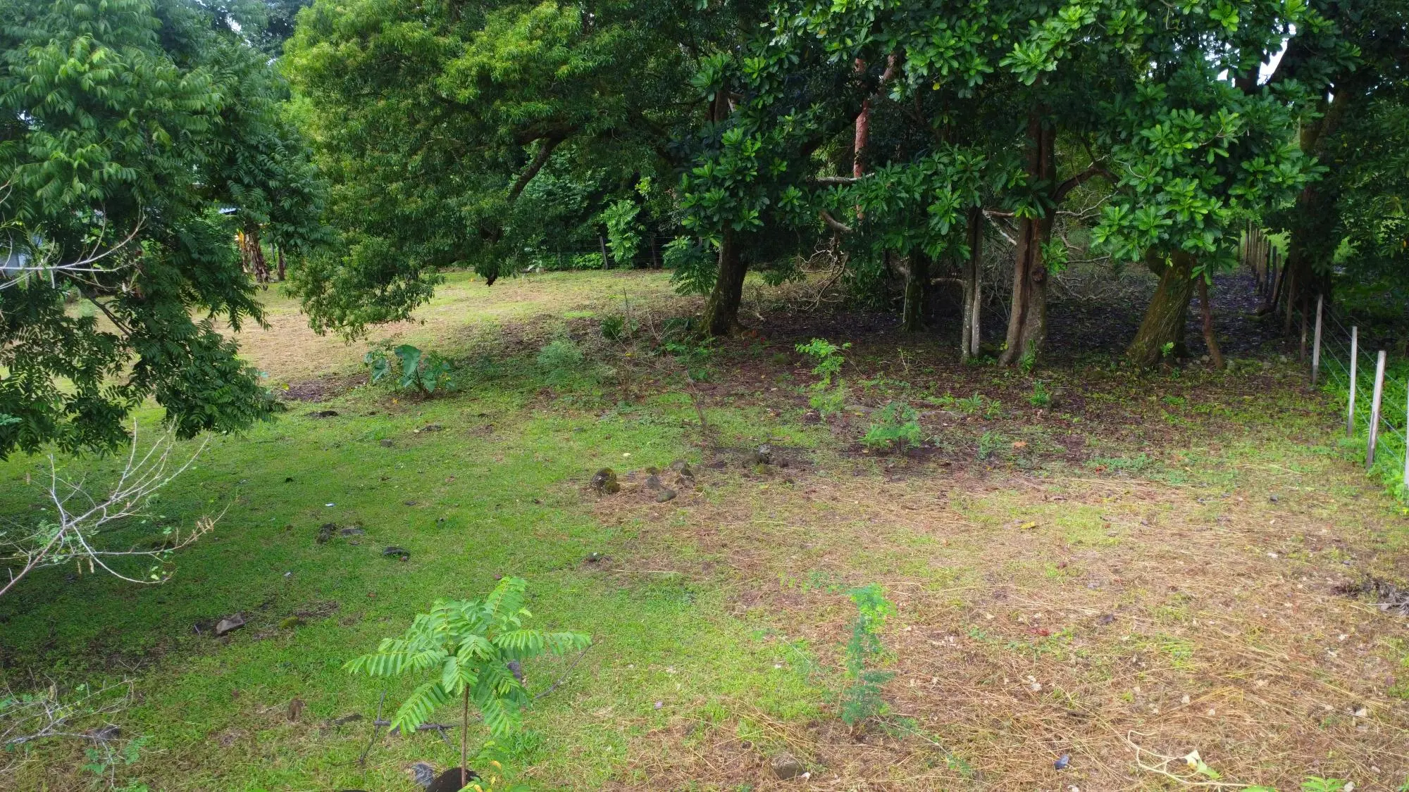 0 Chiriquí, Boquete, El Frances. - Photo 23