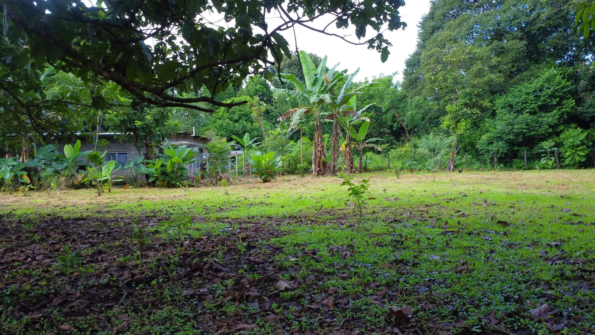 0 Chiriquí, Boquete, El Frances. - Photo 19