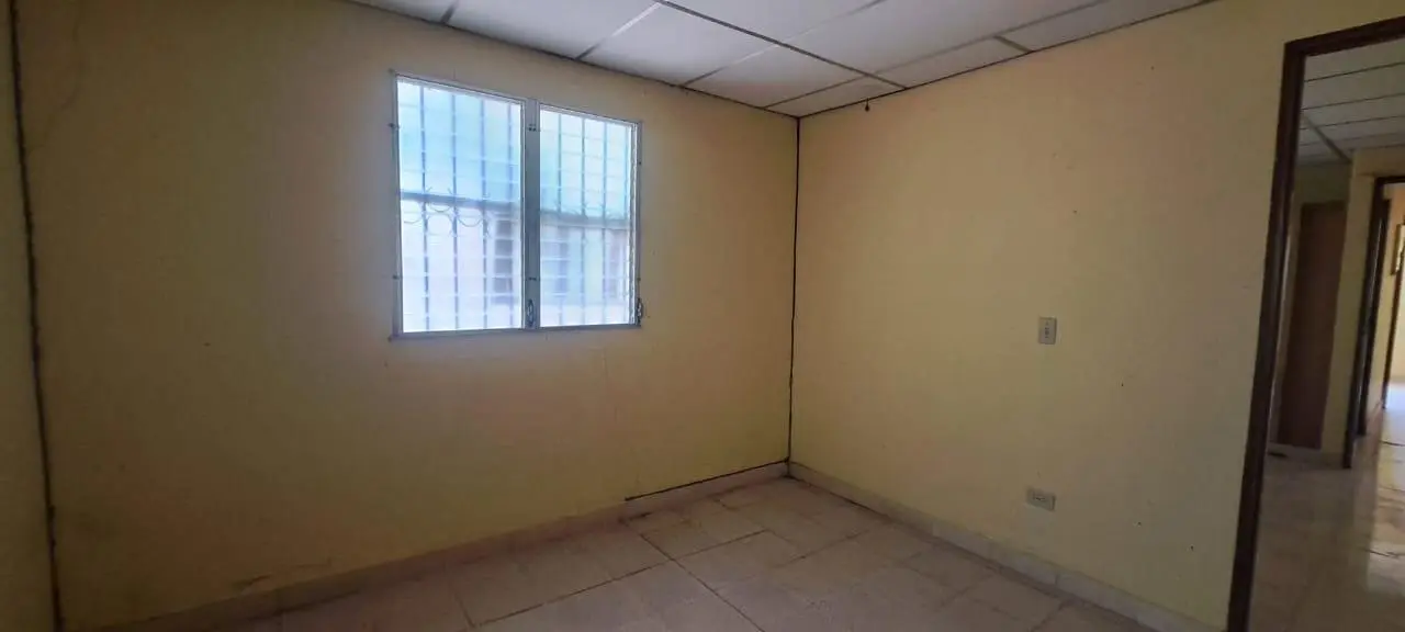 19 De Marzo - Photo 40