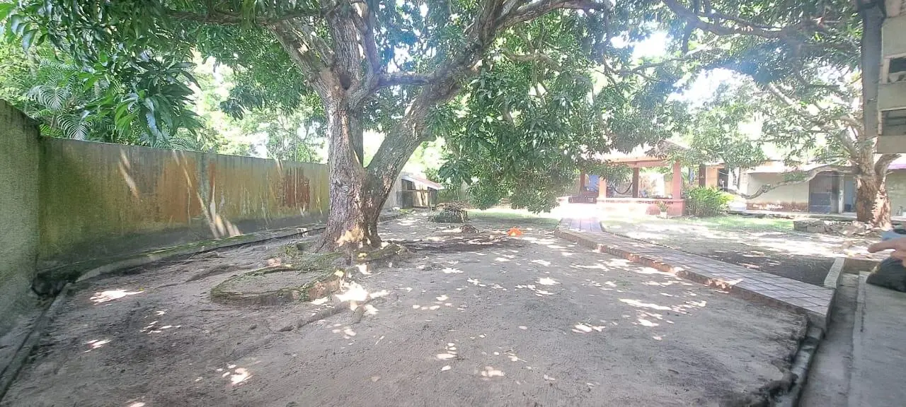 19 De Marzo - Photo 8