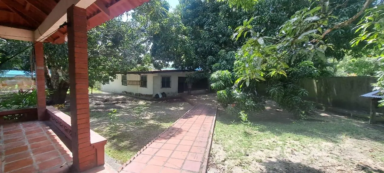 19 De Marzo - Photo 18