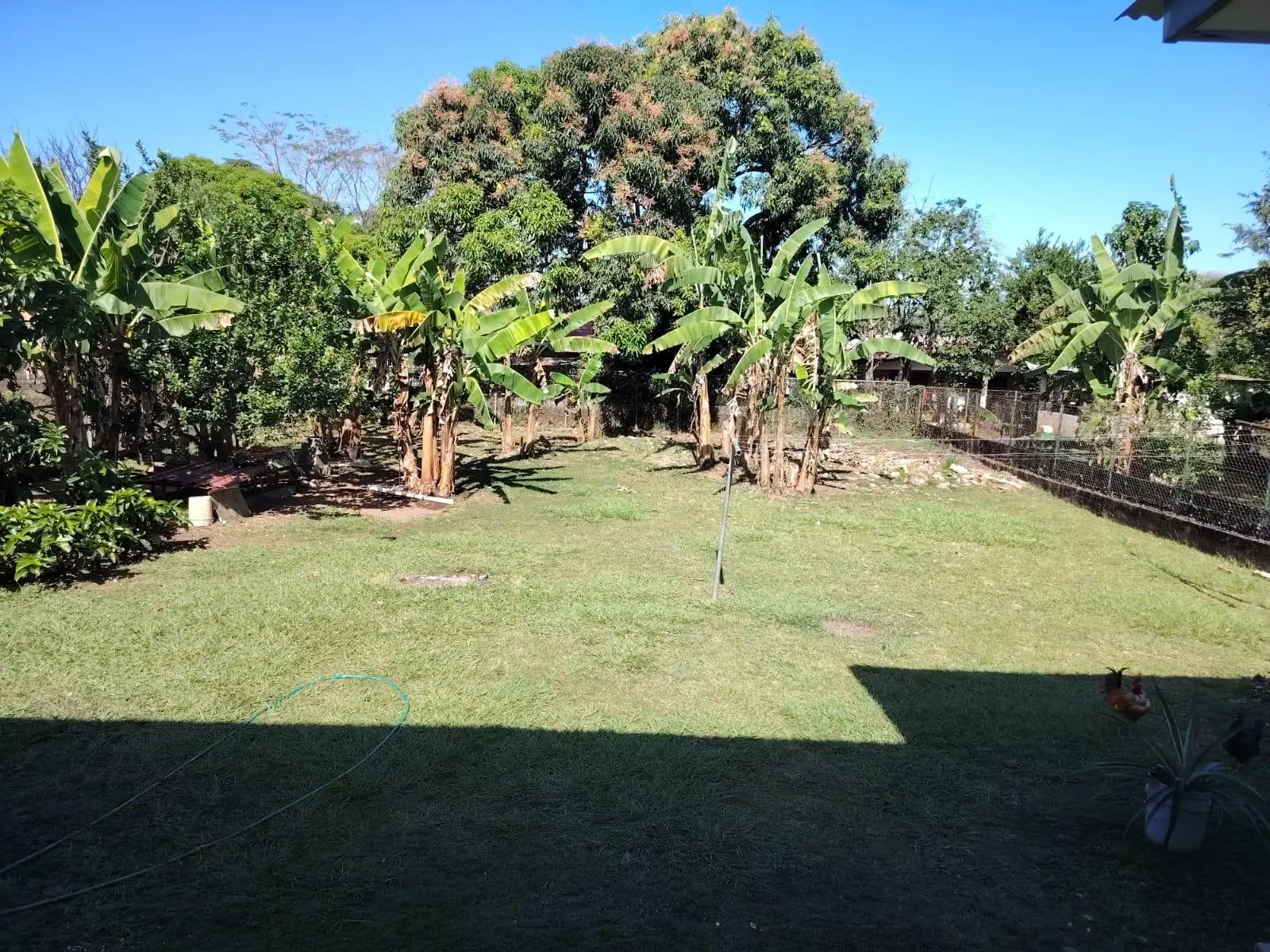 Bda La Tronoza, Santiago #se Vende - Photo 35