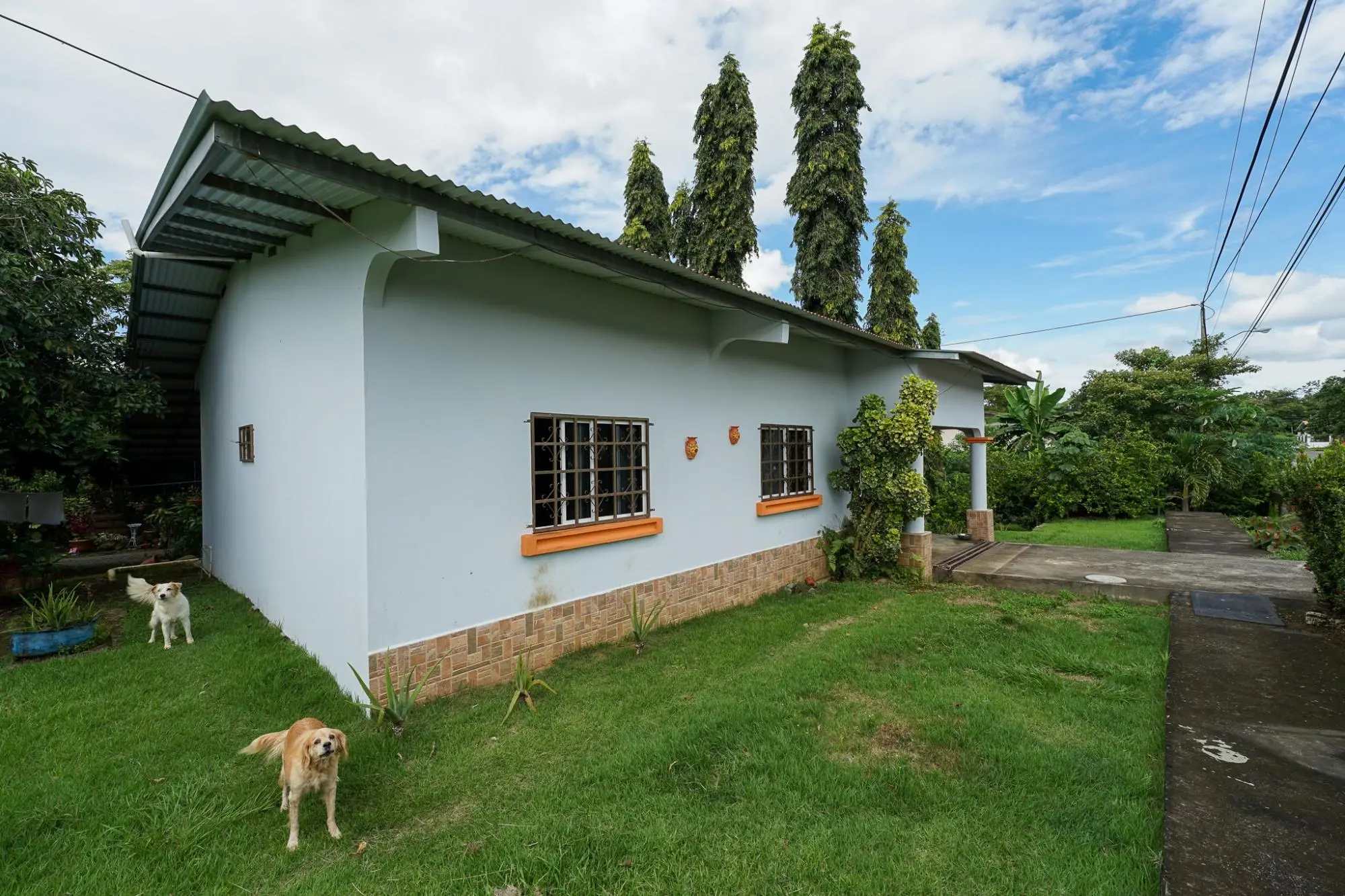 Algarrobos Chiriqui - Photo 7