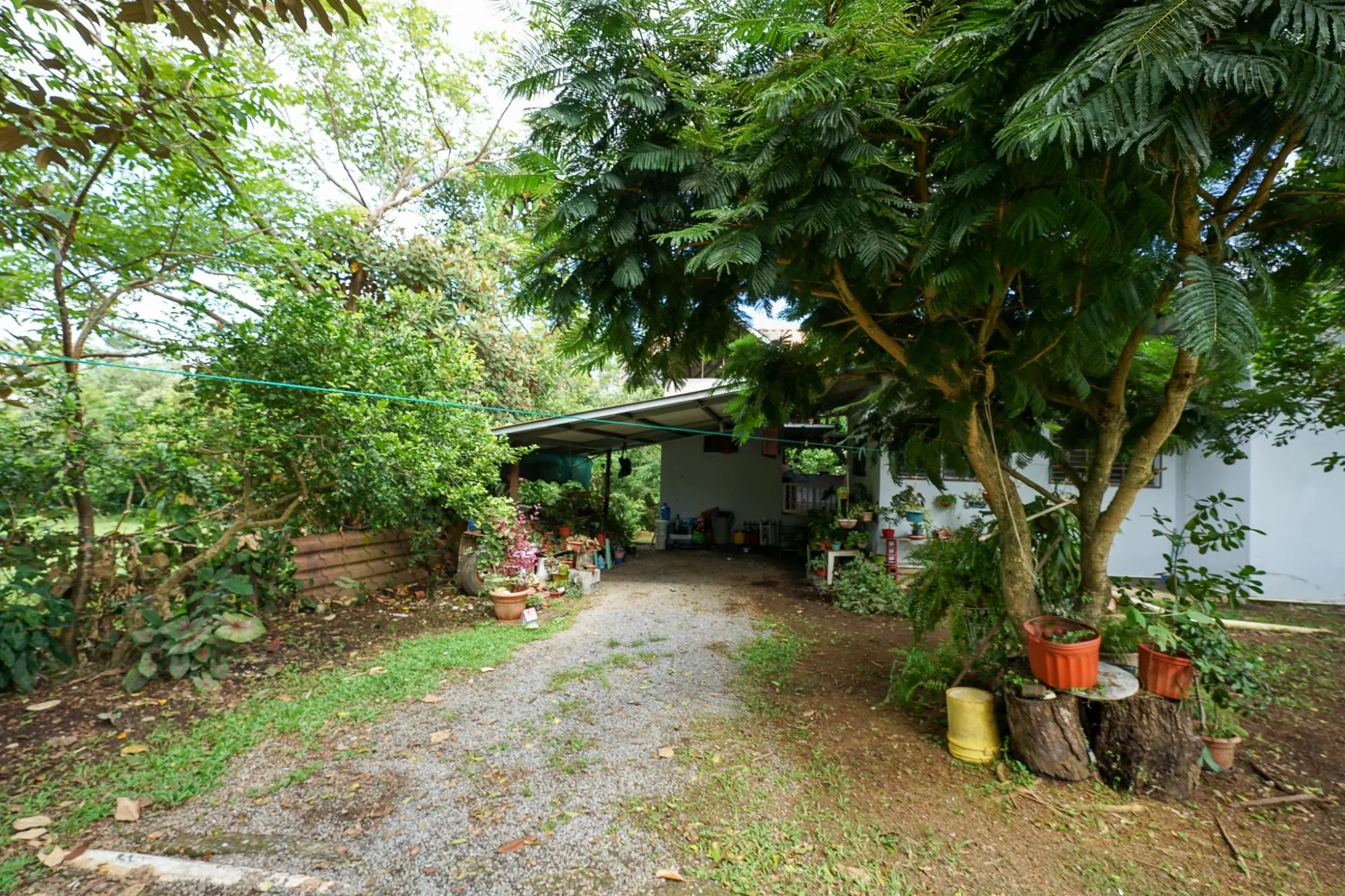 Algarrobos Chiriqui - Photo 29