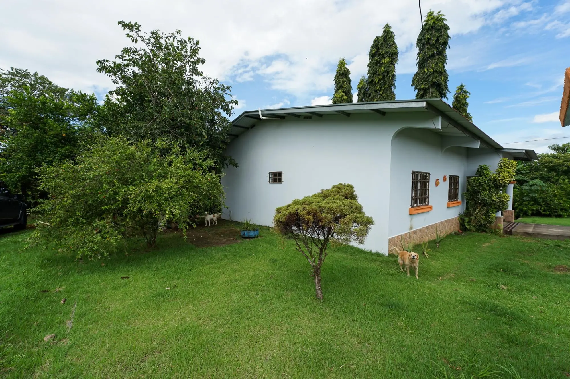 Algarrobos Chiriqui - Photo 10