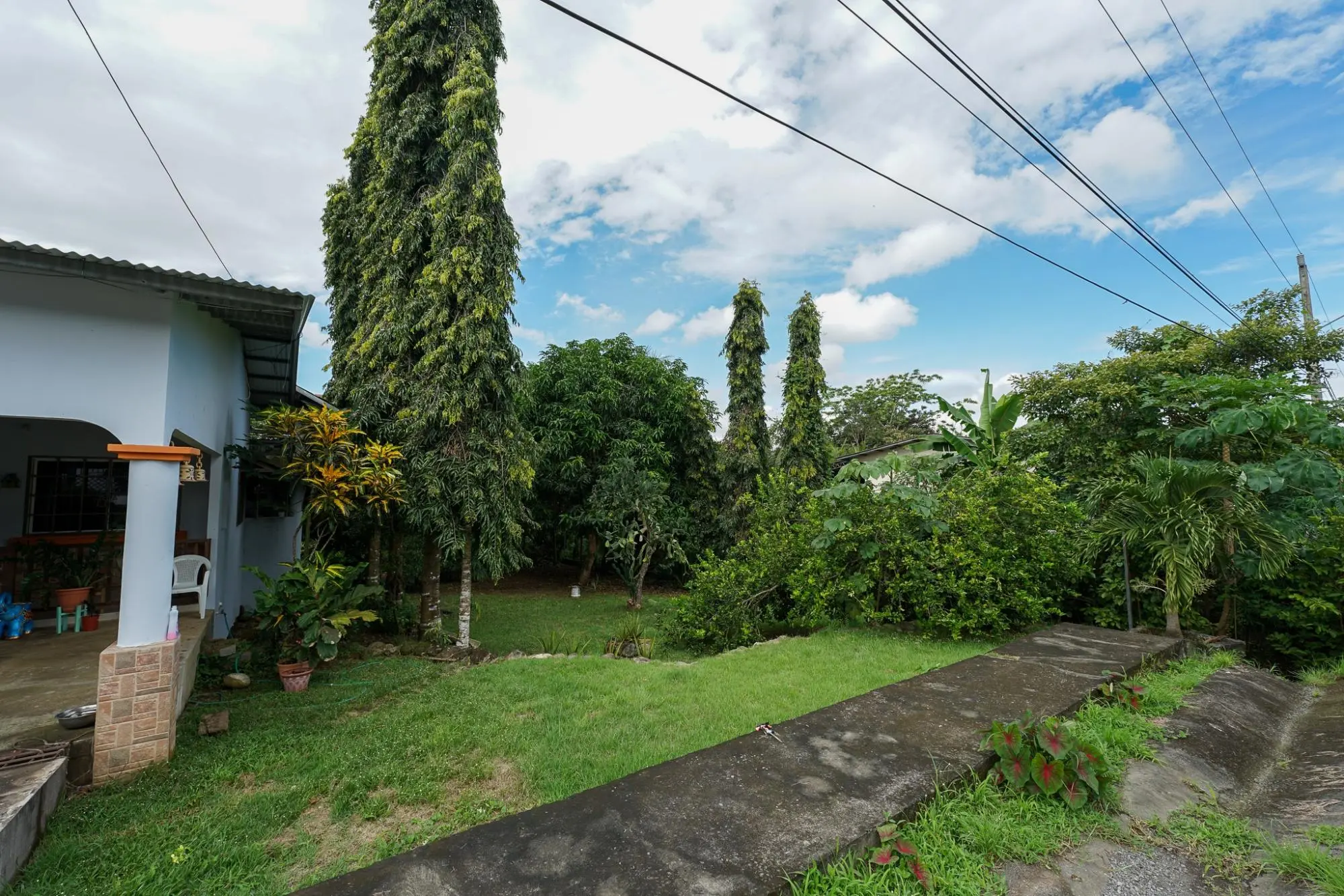 Algarrobos Chiriqui - Photo 17