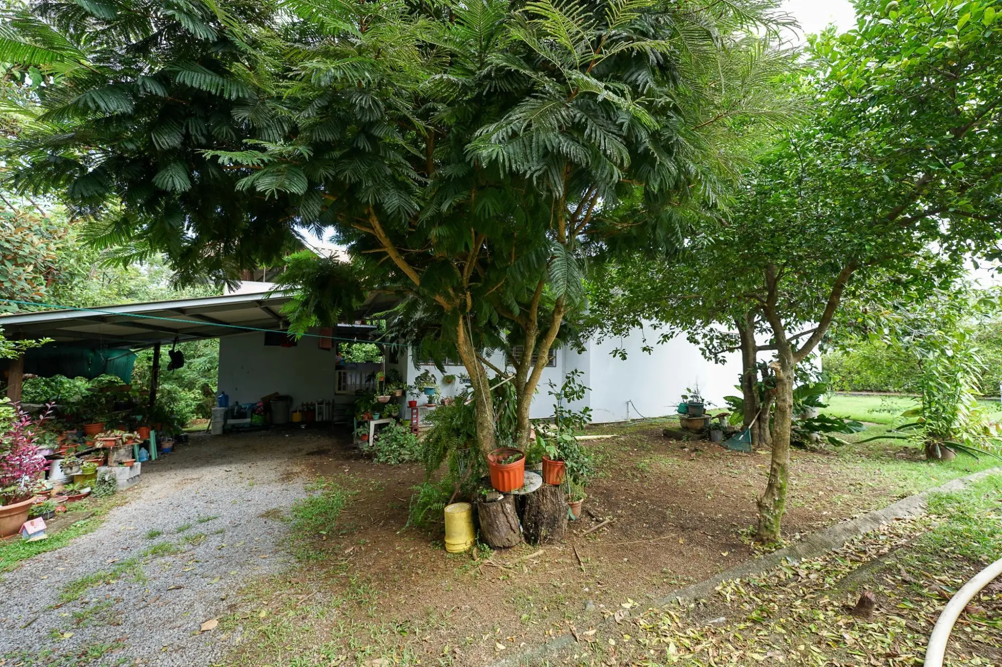 Algarrobos Chiriqui - Photo 26