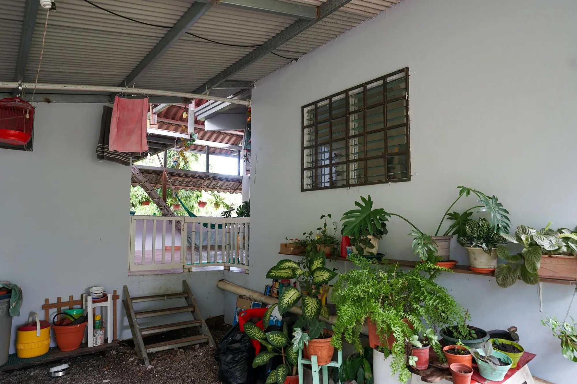 Algarrobos Chiriqui - Photo 33