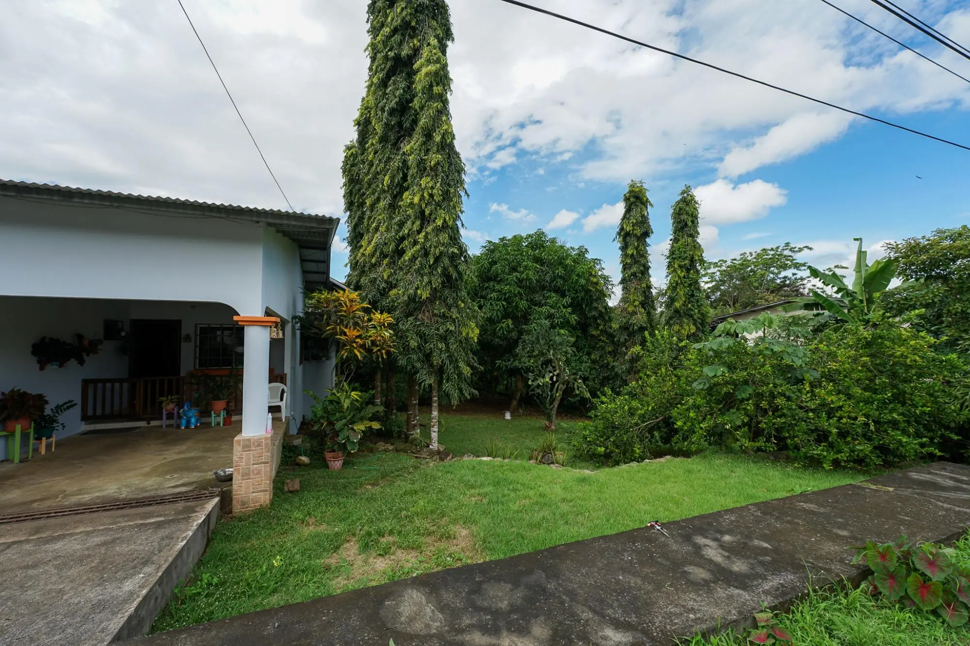 Algarrobos Chiriqui - Photo 19