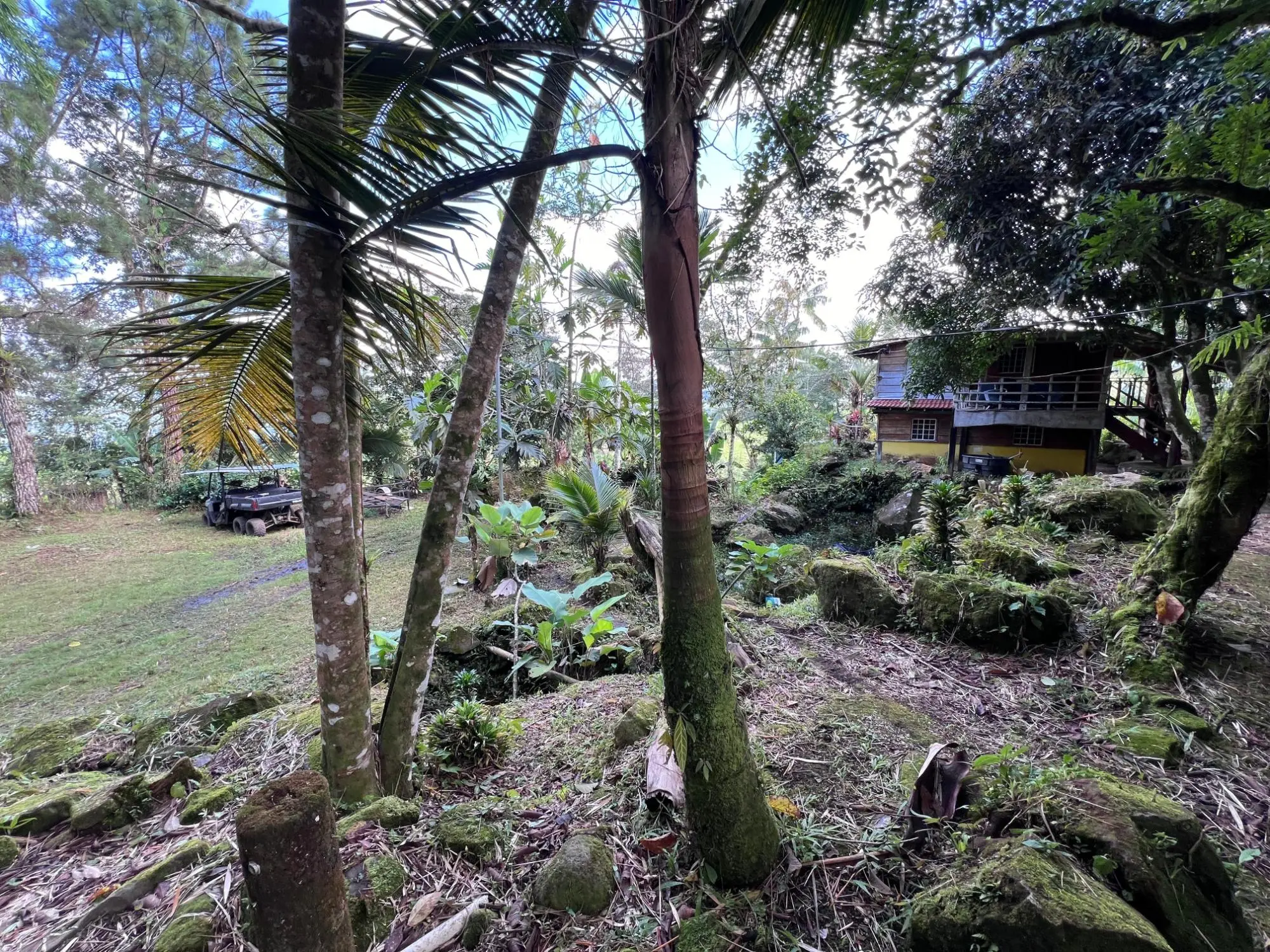 Bugaba Chiriqui - Photo 35