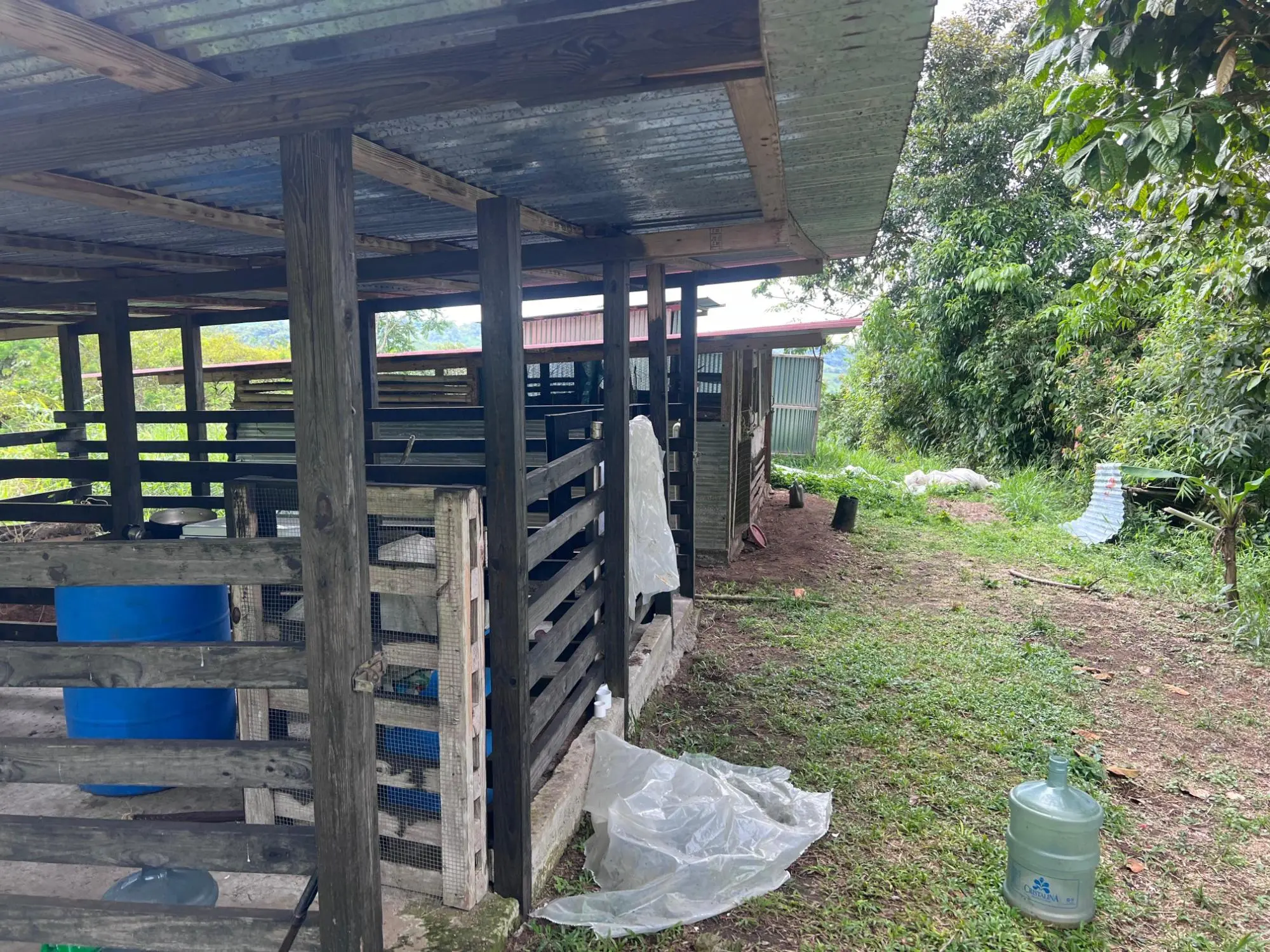 Bugaba Chiriqui - Photo 41