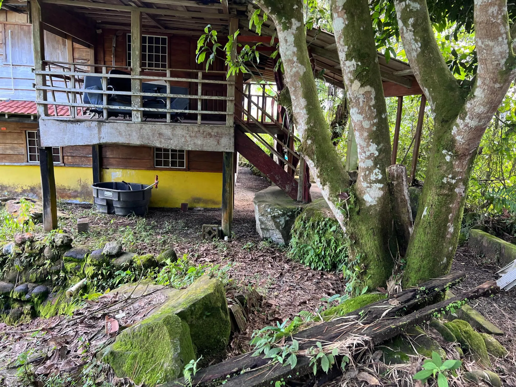 Bugaba Chiriqui - Photo 28